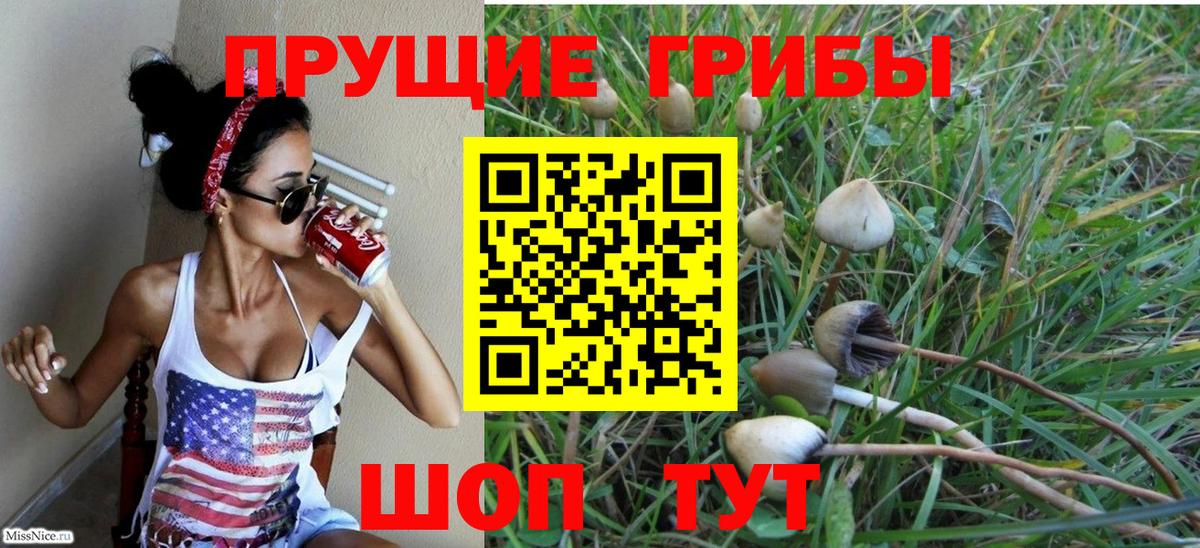 Псилоцибиновые грибы мицелий Балтийск