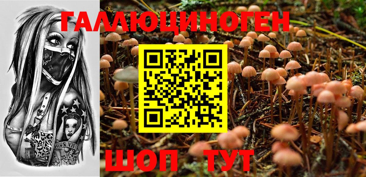 Галлюциногенные грибы GOLDEN TEACHER  Вход с VPN  Балтийск 