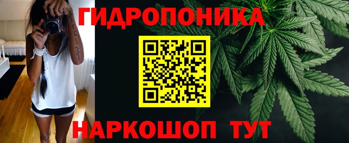Марихуана Ganja Балтийск